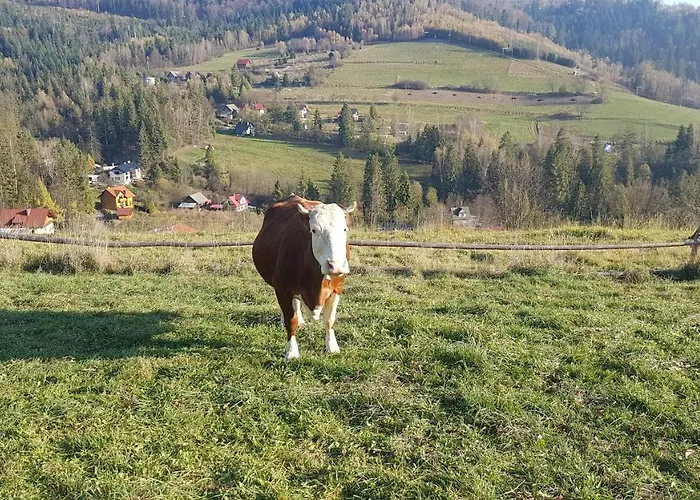 Mj Apartament Kamienna Wisla